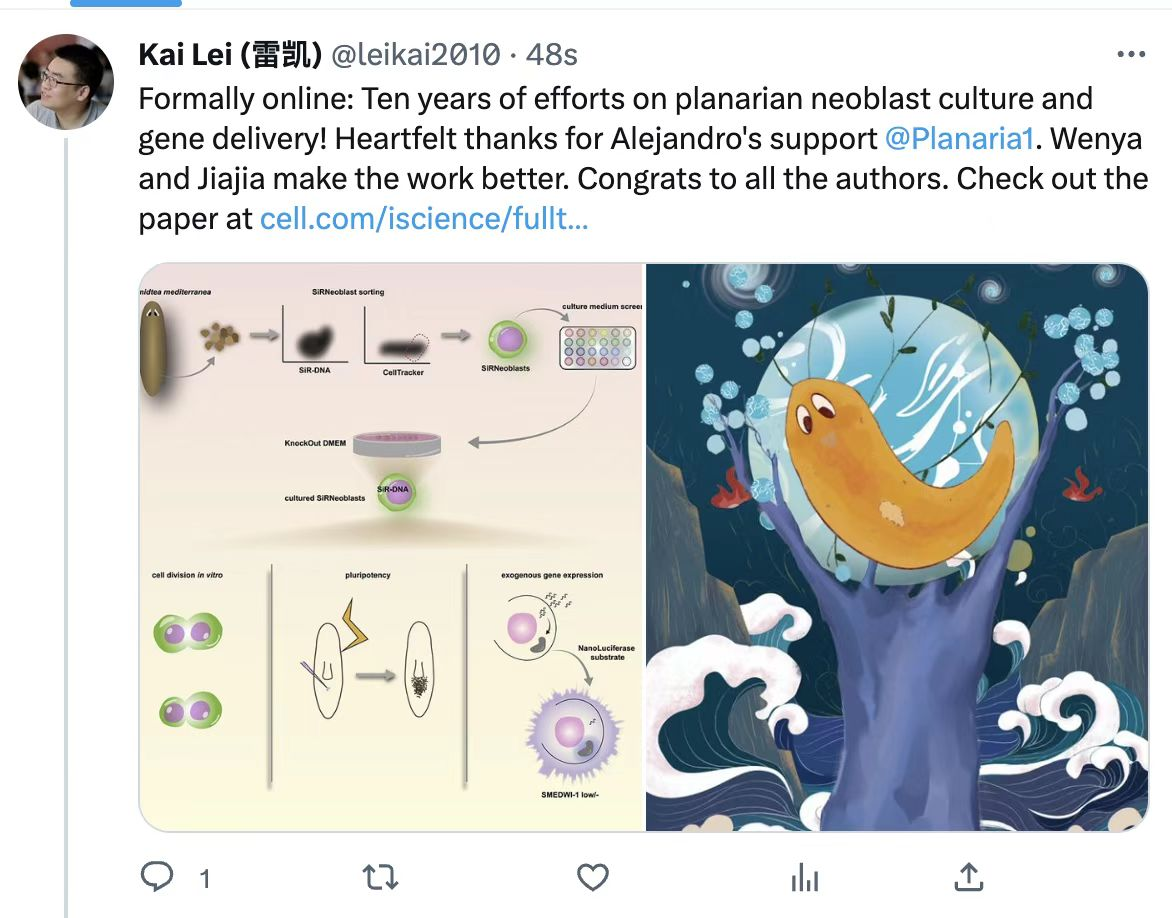 News-Lei Lab