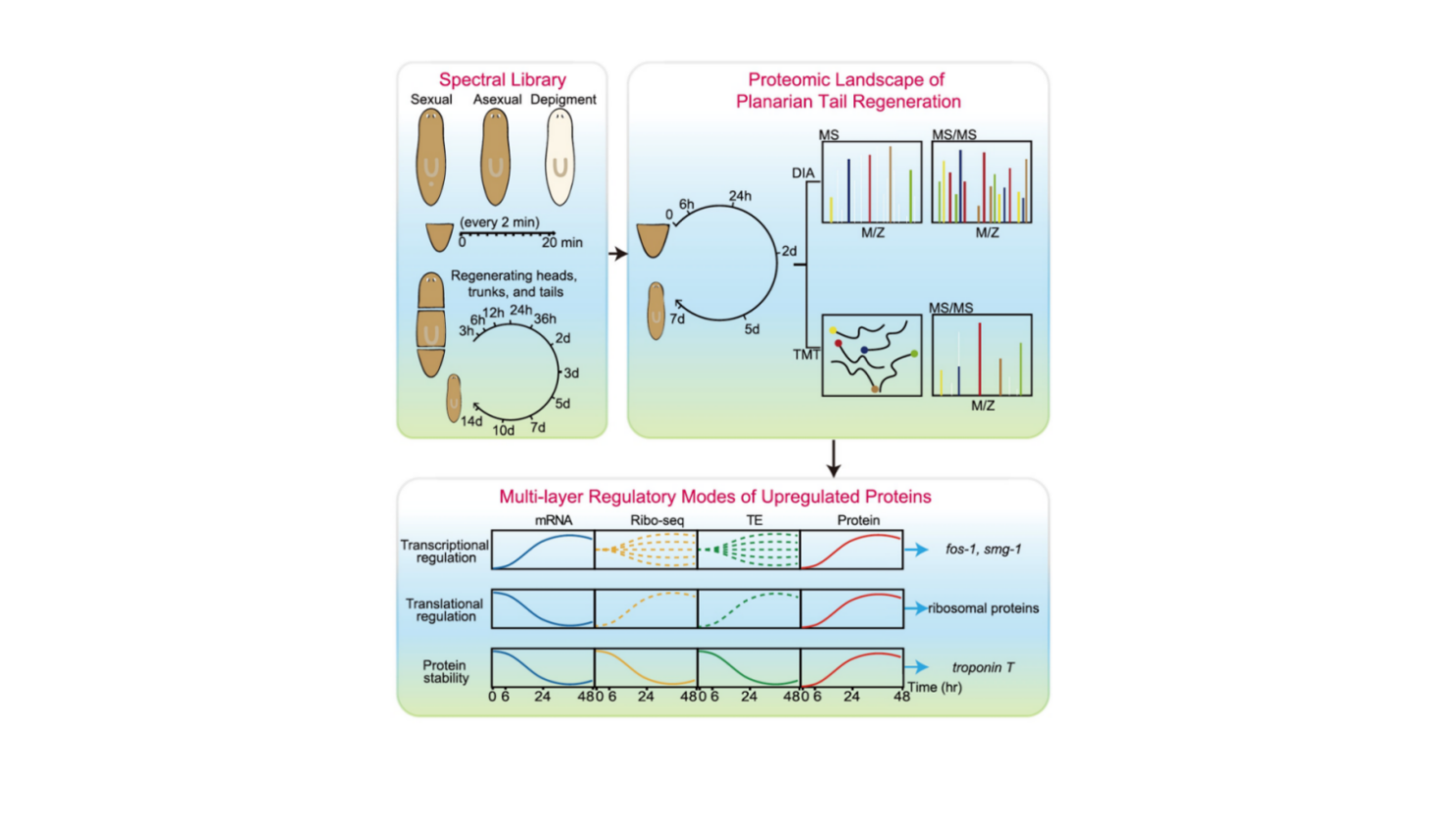Lei Lab - 实验设备