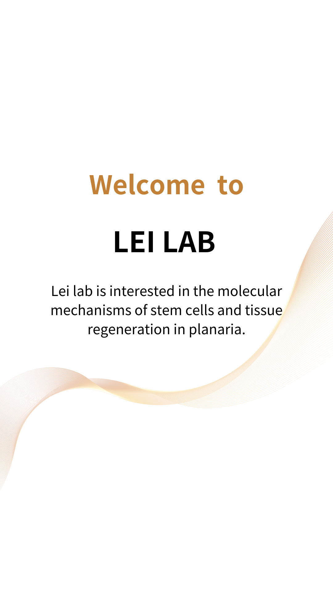 Lei Lab
